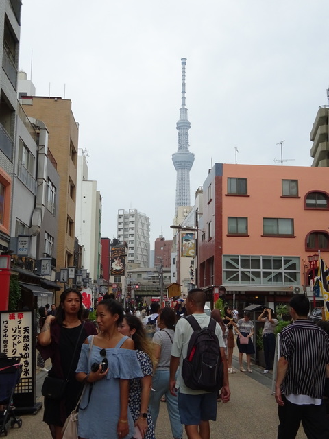 伝法院通り(東)から見たスカイツリー .JPG