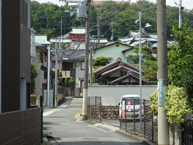 DSC-WX350809.JPG