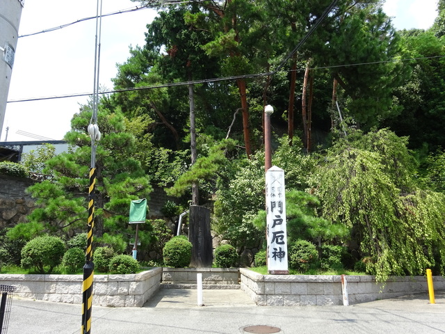 DSC-WX350815.JPG