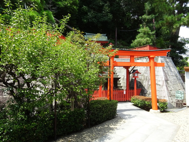 DSC-WX350825.JPG