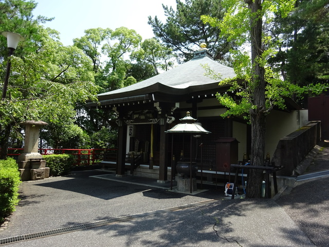 DSC-WX350832.JPG