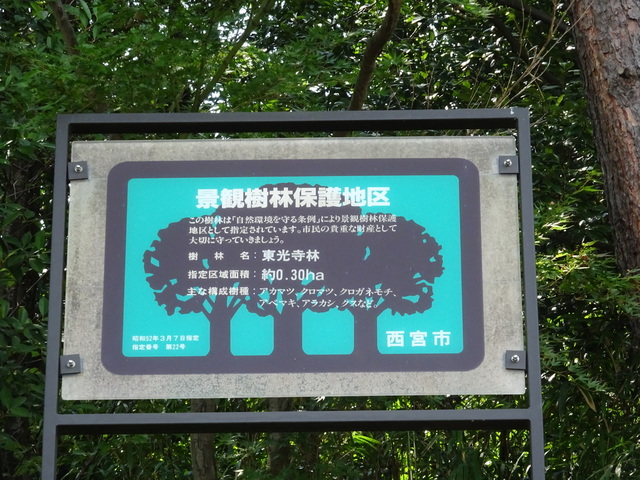 DSC-WX350831.JPG