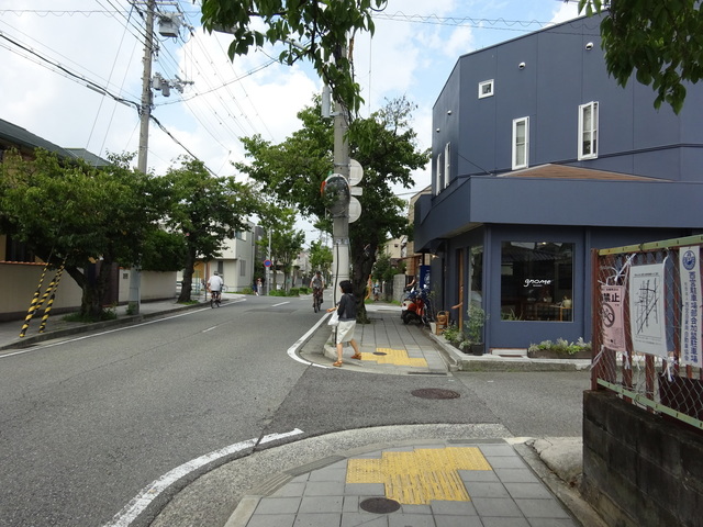 DSC-WX350851.JPG