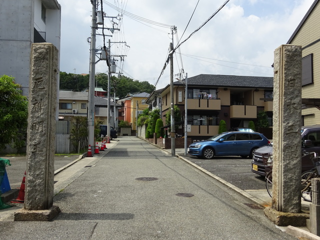 DSC-WX350847.JPG