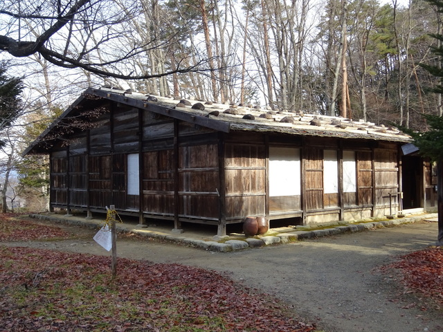 DSC07674.JPG