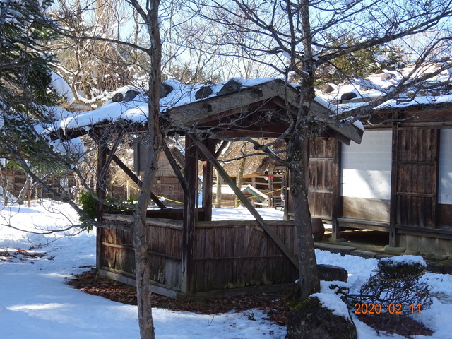 DSC08192.JPG
