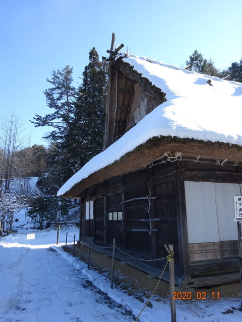 DSC08264.JPG