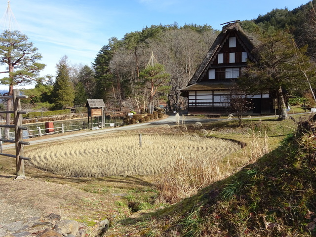 DSC07785.JPG