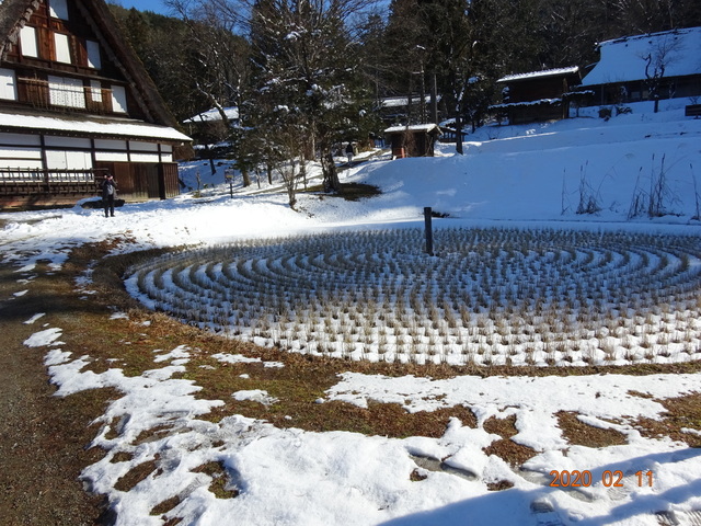 DSC08259.JPG