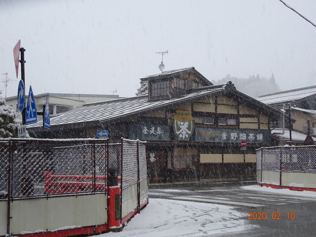 DSC08049.JPG