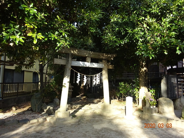 DSC08355.JPG