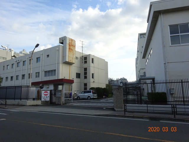 DSC08370.JPG