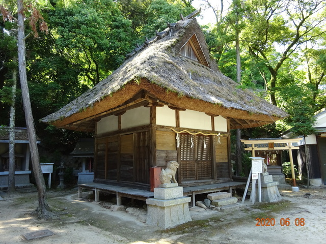 DSC08651.JPG