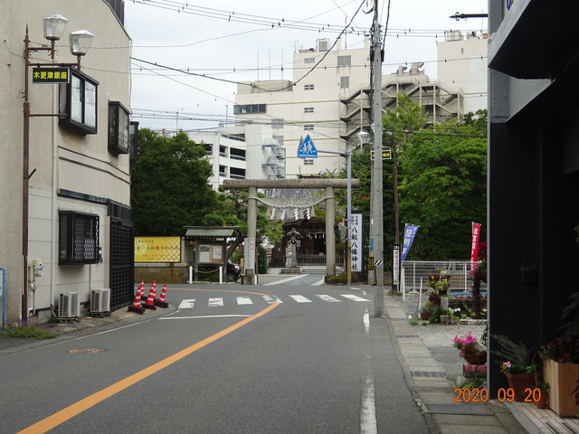 DSC08854.JPG