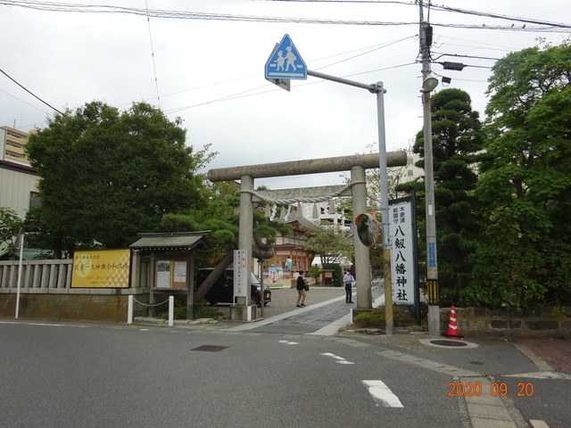 DSC08855.JPG