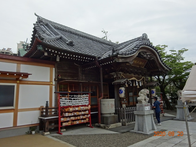 DSC08858.JPG