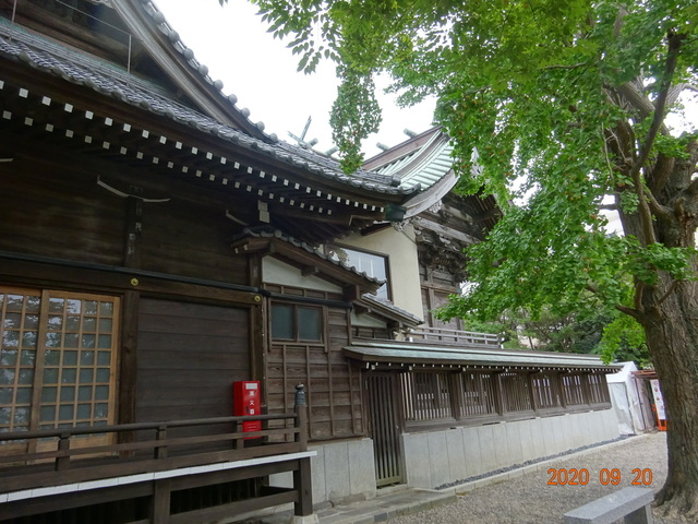 DSC08857.JPG