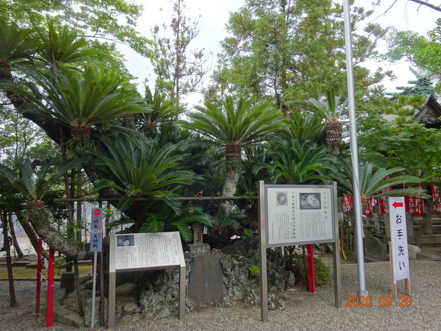 DSC08861.JPG