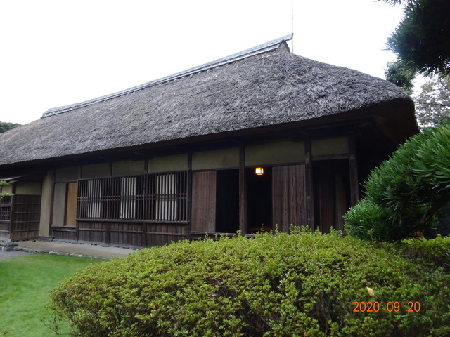 DSC08867.JPG