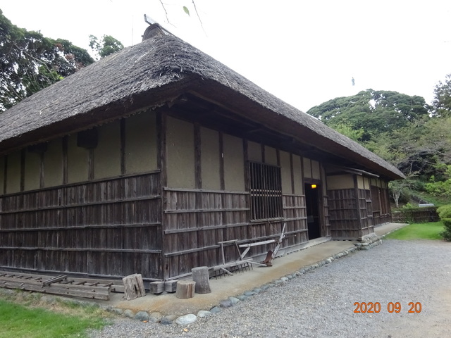 DSC08866.JPG
