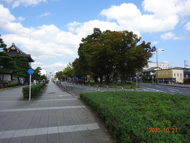 DSC09179.JPG