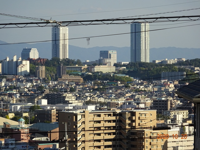 DSC09149.JPG