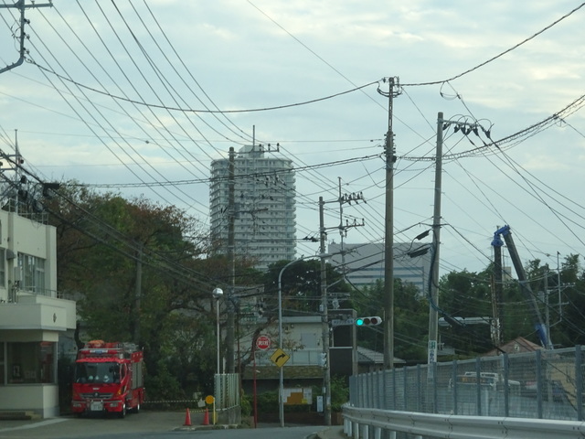 DSC09278.JPG