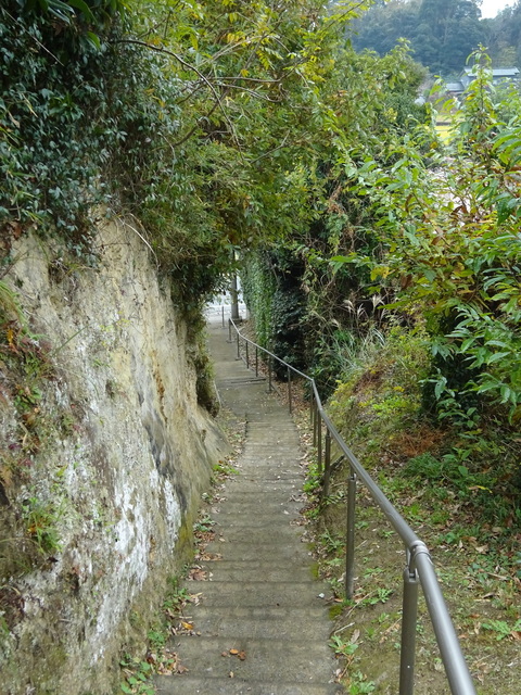 DSC09672.JPG