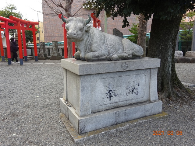 DSC09832.JPG