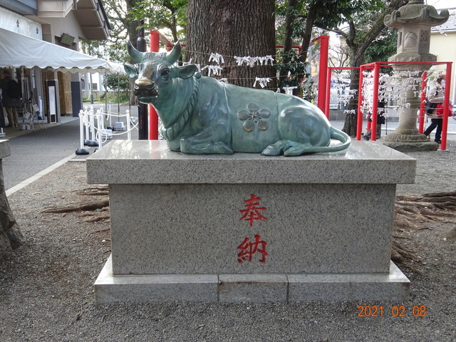 DSC09834.JPG