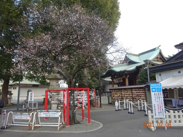 DSC09840.JPG