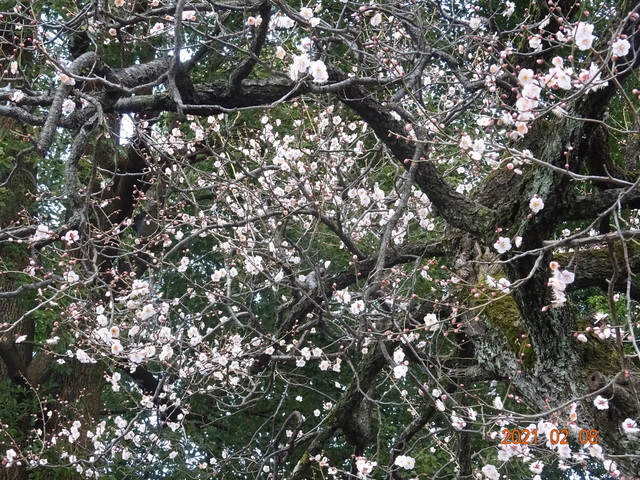 DSC09841.JPG