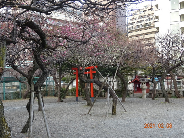 DSC09842.JPG