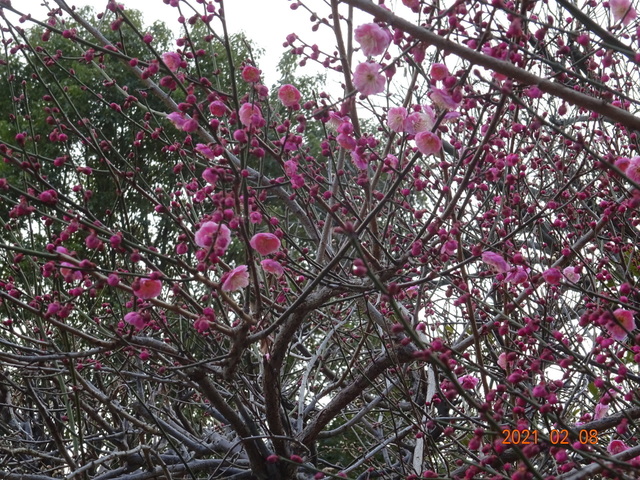 DSC09843.JPG