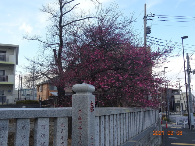 DSC09849.JPG