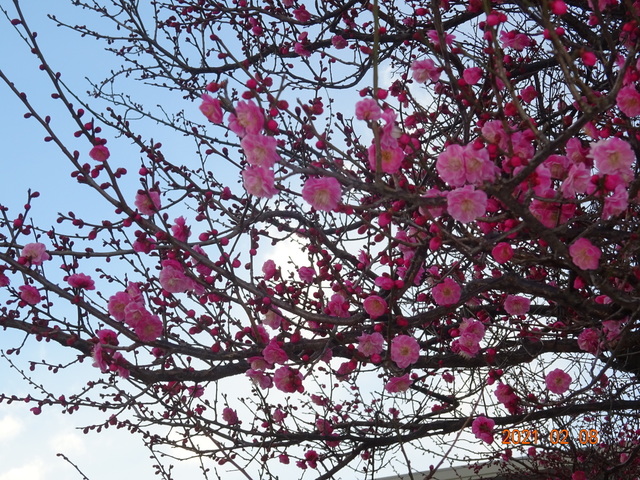 DSC09851.JPG