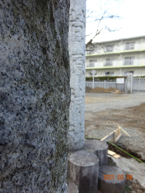 DSC09855.JPG