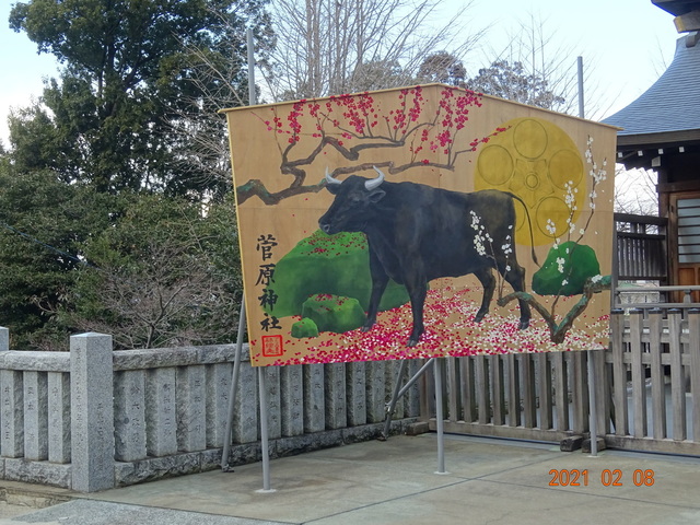 DSC09861.JPG