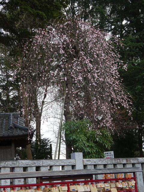 DSC09862.JPG