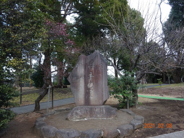 DSC09873.JPG