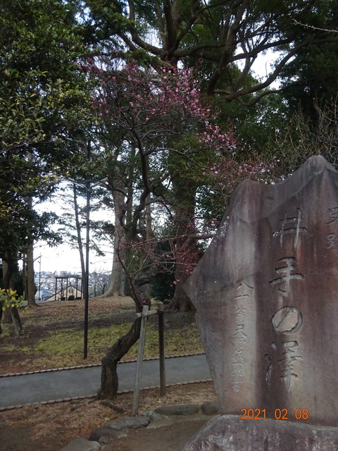 DSC09875.JPG