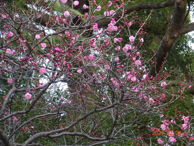 DSC09874.JPG
