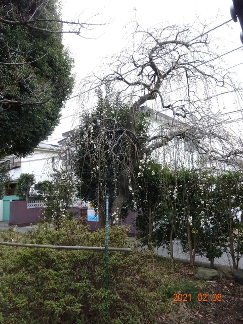 DSC09876.JPG