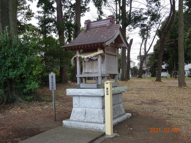 DSC09878.JPG