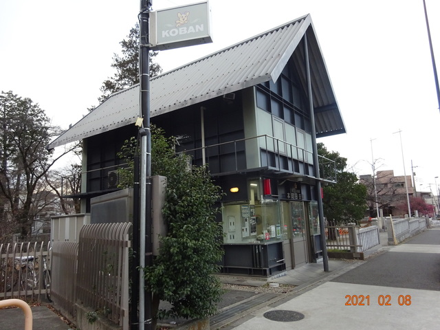 DSC09881.JPG