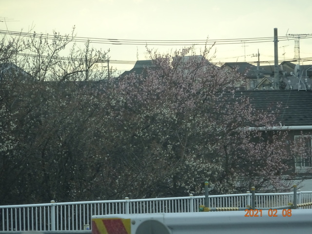 DSC09887.JPG