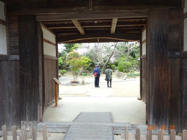 DSC09981.JPG