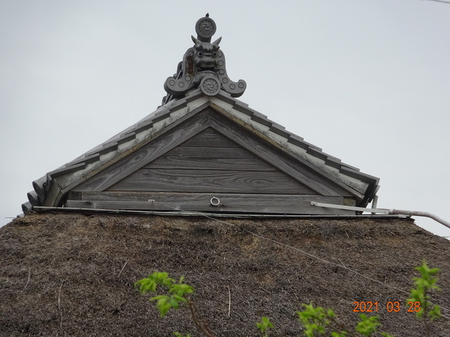 DSC00037.JPG