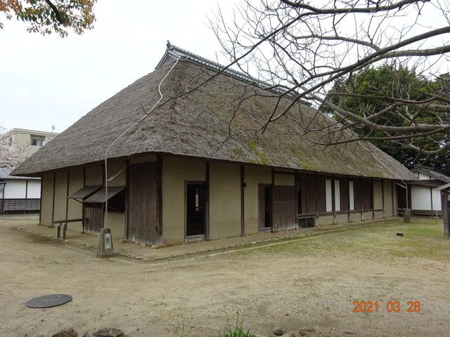DSC00017.JPG