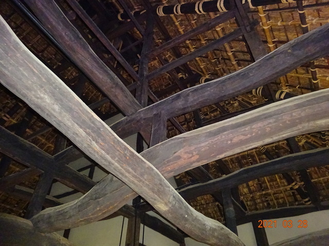 DSC00004.JPG